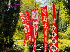 -莫里热带雨林景区