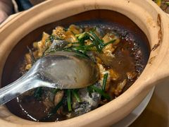 生焗钳鱼煲-大唐靓汤江门私房菜(景田店)