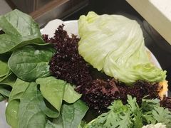 -蝎王府羊蝎子(北大地店)