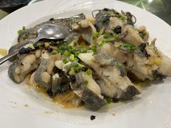 豉汁蒸鲶鱼-正宗鸡饭粤香酒家(朱村店)