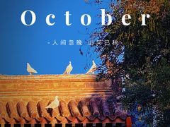 -北京国子监胡同