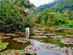 -野象谷景区