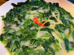 鸽汤万年青-大鸽饭(岗顶店)