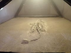 -世界恐龙谷景区