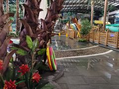 -南宫温泉水世界