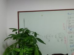 -东书房硬笔·国画·古筝·围棋·软笔·国学(新北校区)