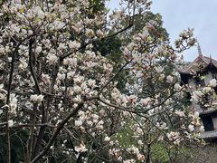 -成都杜甫草堂博物馆