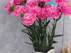 -来之顺海鲜菜馆·青岛菜(栈桥店)