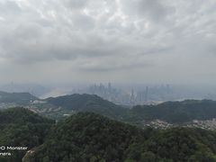 -大金鹰园