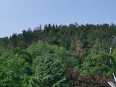 -吉林市朱雀山国家森林公园