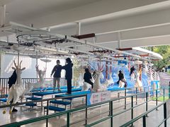 -盈香心动乐园
