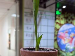 -学习谷日语培训日本留学·多语种外语教学(海淀人大分部)