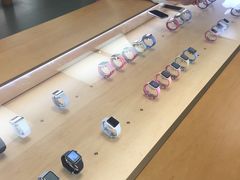 -Apple零售店(深圳益田假日广场店)