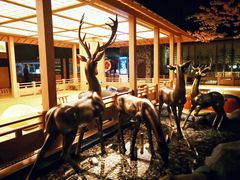 -蓝鲸湾汤泉(包河店)