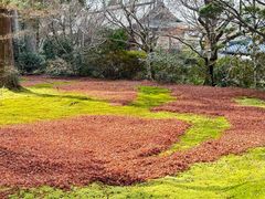 -三千院