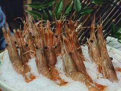 牡丹虾-万岛日本料理铁板烧(静安店)