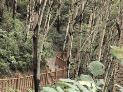 -玉渡山自然风景区