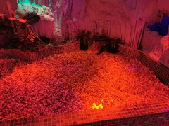 -水晶之星洗浴温泉汗蒸