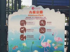 -九龙公园