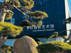 -罗红摄影艺术馆