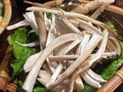 -滇野云南野生菌餐厅(陕西南路店)