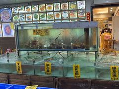 -寻味顺德·南记酒家·传统顺德菜·鱼生(广源路店)