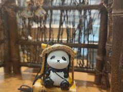 -轩客会(熊猫书店)