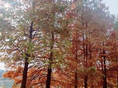 -江南大学(蠡湖校区)