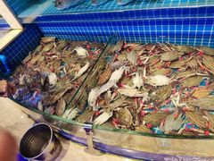 -乔哥铭洋海鲜自助(皇城恒隆广场店)