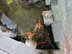 -31号公馆(黄兴广场白果园店)