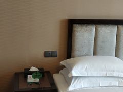 -长沙小天鹅戴斯酒店