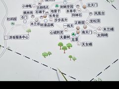 -天女山森林公园