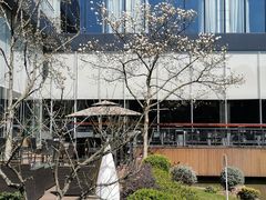 -上海虹桥宾馆(郁锦香品牌酒店)