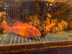 -云境生态园(红谷滩店)