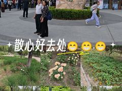 -绿堤公园