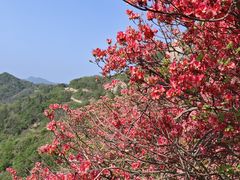-木兰云雾山