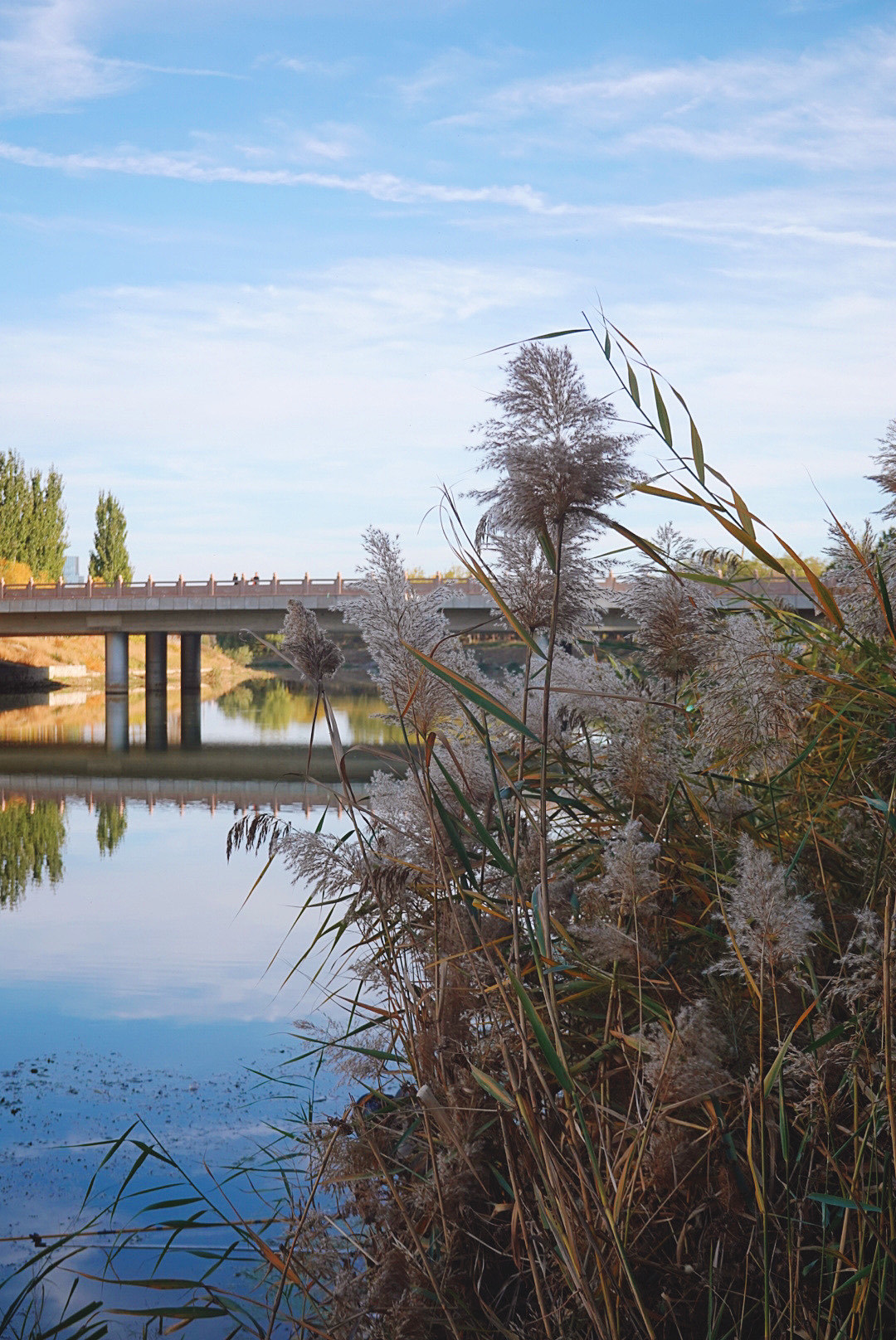 说好的小物钓🎣怎么鱼越上越大呢?