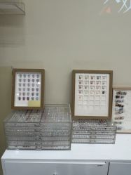 -X Bay-Nail日式美甲美睫