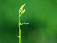 -宝岛眼镜·星创视光中心(百联世纪购物中心店)