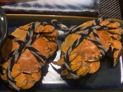 -菊上料理(蜀山银泰百货店)