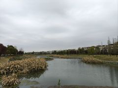 -两河城市森林公园