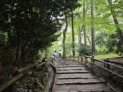 -井之头恩赐公园