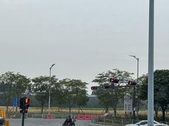 -宝安西湾红树林湿地公园