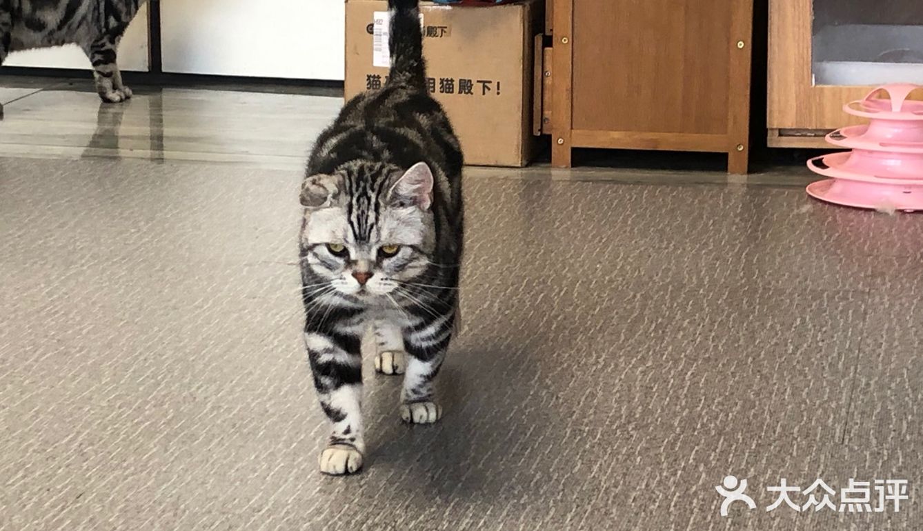 臭脸大哥/臭脸小妹，其实巨粘人