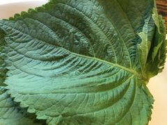 -范儿·嫂子烤肉·精致炭火烤肉(长治路店)