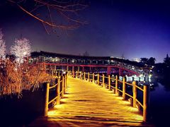 -眉山湿地公园(东坡区)