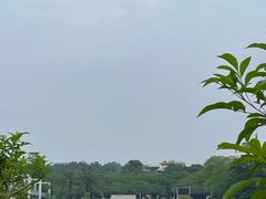 -东莞植物园
