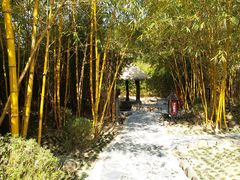 -森波拉火山温泉