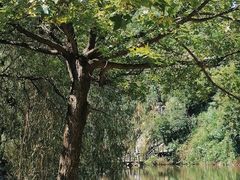 -九如山休闲旅游度假区
