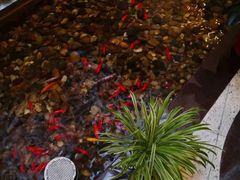 -中共上海市委党校 上海行政学院